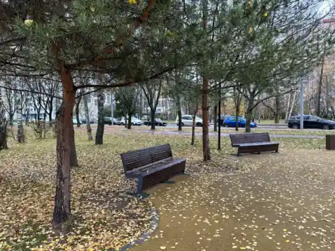 Скамья 